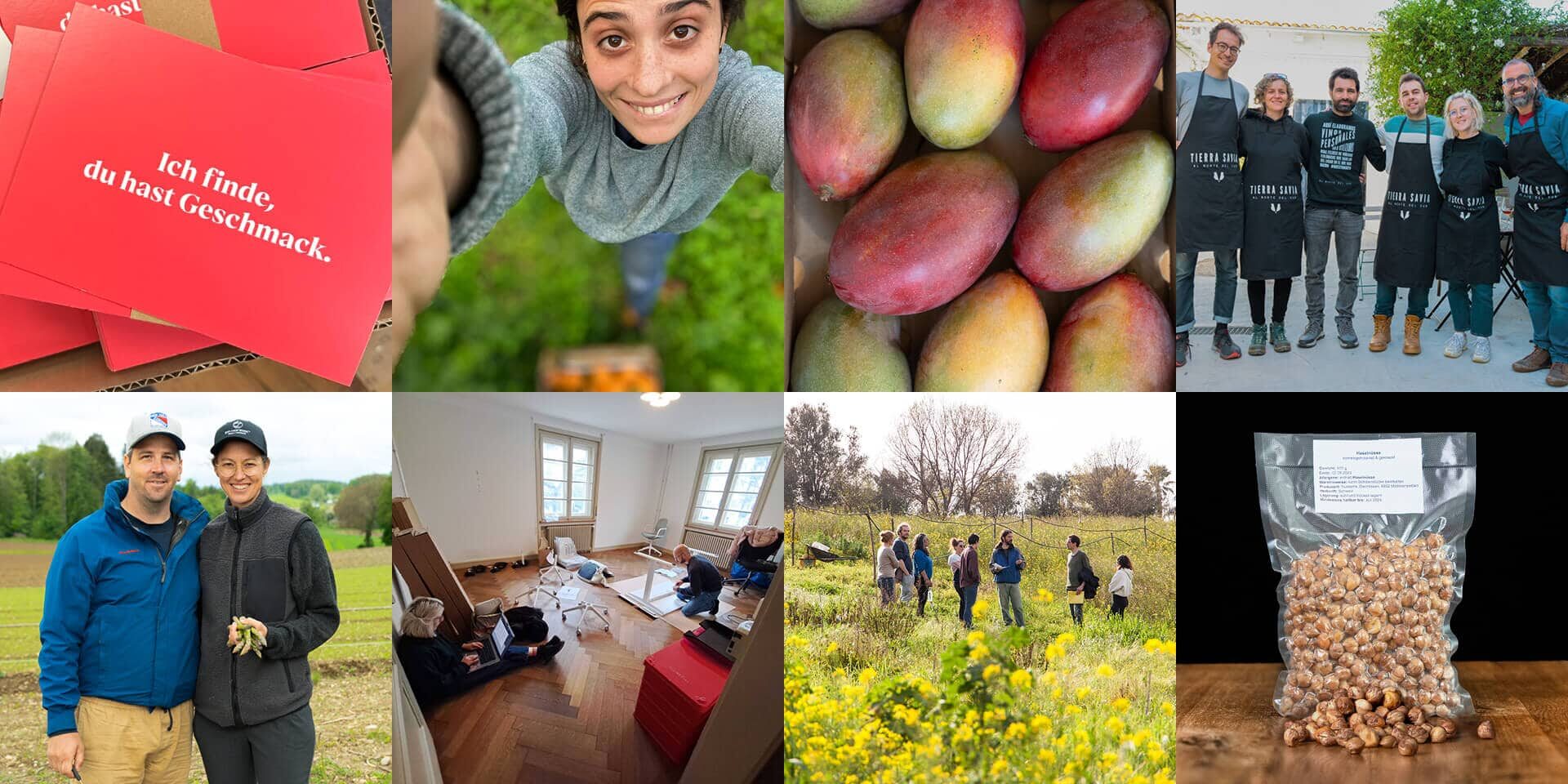 Crowd-Container_Impact-2023_Beitragsbild