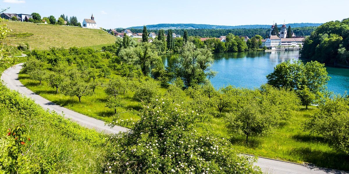 Das Gut Rheinau liegt inmitten der markanten und idyllischen Rheinschlaufe und wird biologisch-dynamisch geführt